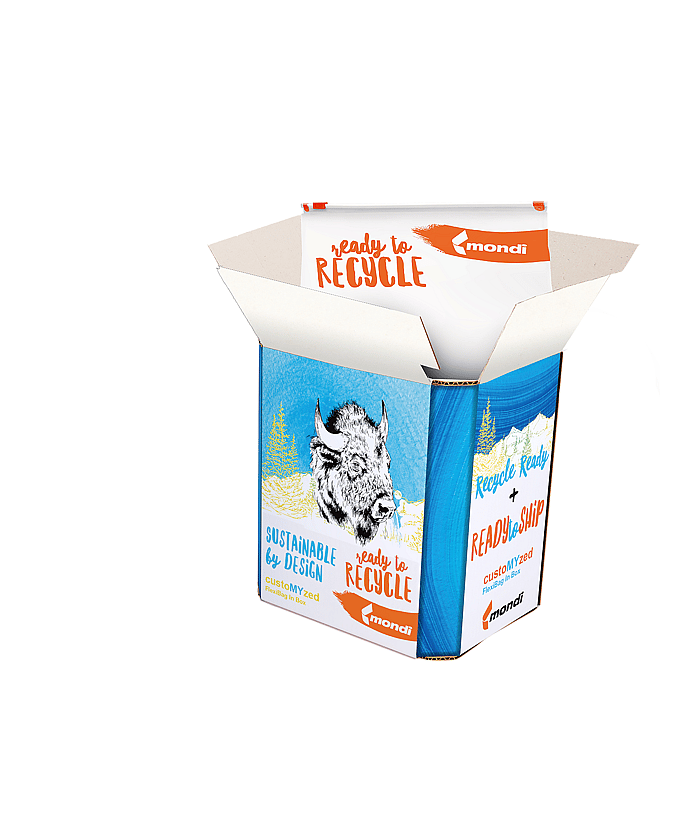 FlexiBag in a Box - Ready to Ship | Mondi North America
